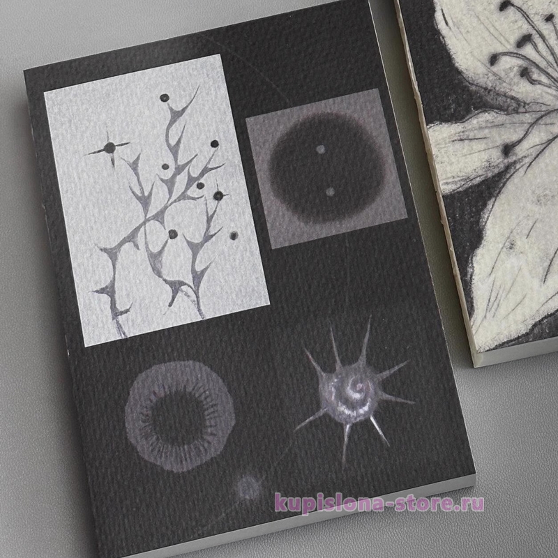 Блокнот «Botany» Блокнот «Botany»