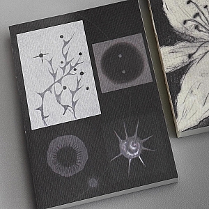 Блокнот «Botany»