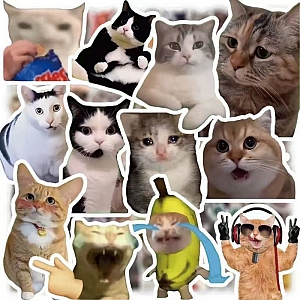 Набор наклеек «Funny cats»