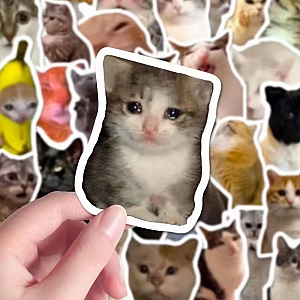 Набор наклеек «Funny cats»